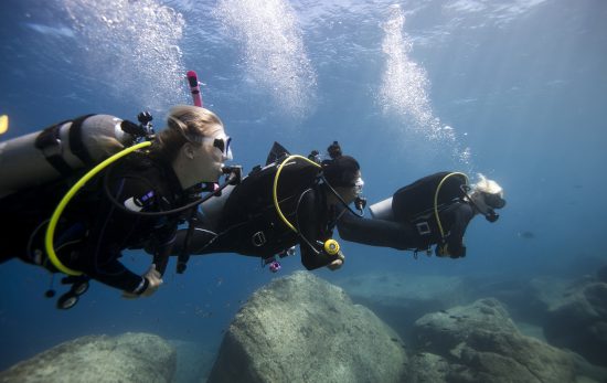 Diving can be enjoyable for everyone